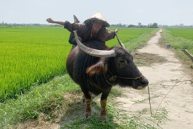 3 Hours Hoi An Countryside Bicycle Tour - Starting with lotus lakes and Tra Que’s garden beds