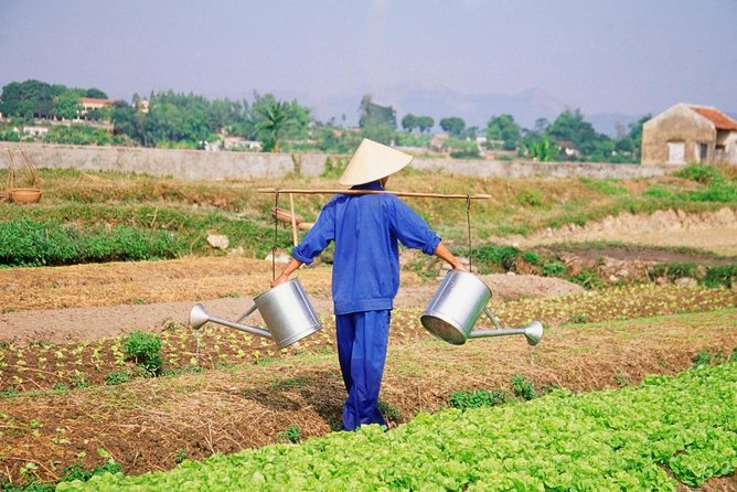 3 Hours Hoi An Countryside Motorbike Tour - Key points to know before booking