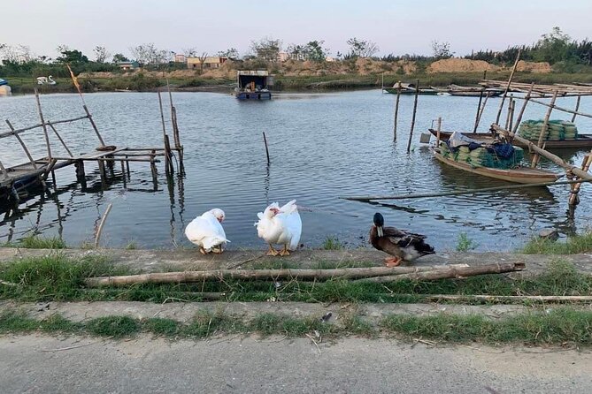 3 Hours Hoi An Countryside Motorbike Tour - Kim Bong, boatbuilding, and working village crafts