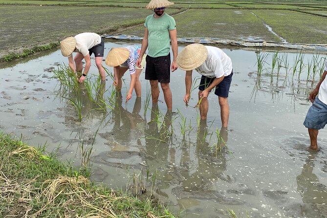5-Hour Discovery Countryside by Cycling, Buffalo and Basket Boat - Meeting and feeding the water buffalo