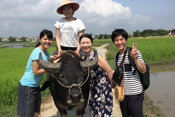 5-Hour Discovery Countryside by Cycling, Buffalo and Basket Boat - How the schedule works
