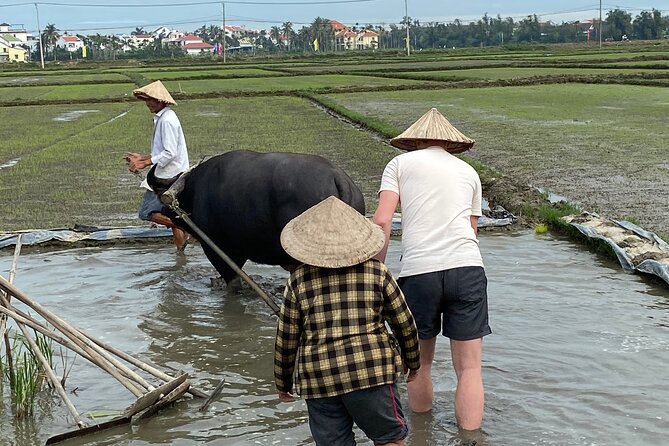 5-Hour Discovery Countryside by Cycling, Buffalo and Basket Boat - What the $10 price really gives you