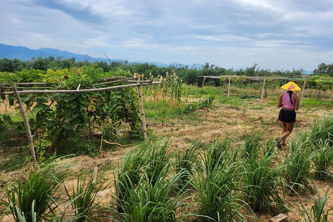 ATV Quad Bike Hoi An Adventure & BBQ Feast - Trading Hoi An’s old town for muddy village roads
