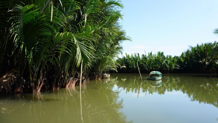 Basket Boat at Coconut Village, Kitchen Show and Big Lunch - What $28 includes, and where the value lies