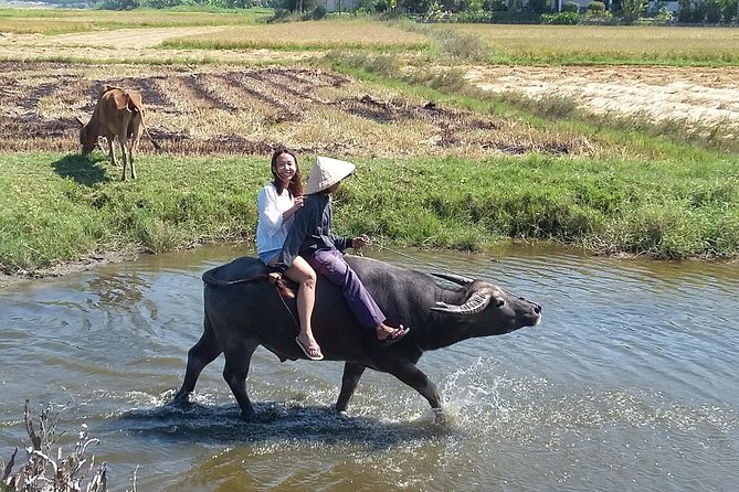 Buffalo riding and Basket Boat Half Day Tour - What the $20 price really covers