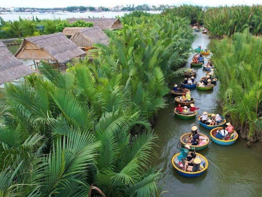 BUFFALO RIDING -BASKET BOAT & BIKE TOUR-HOI AN - FAQ