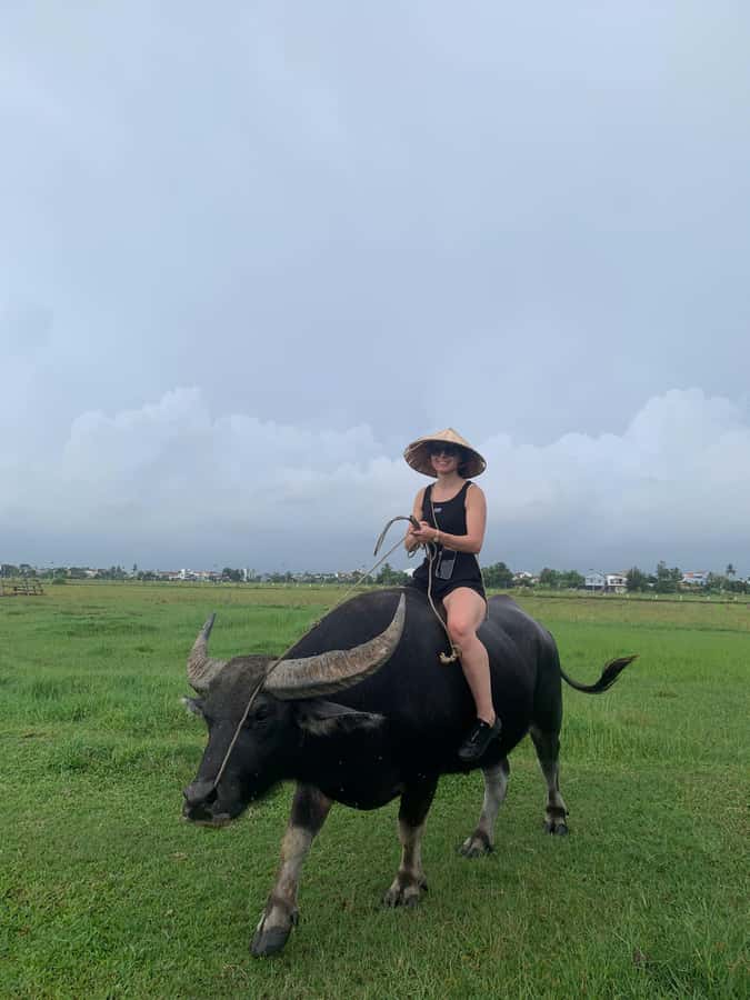 BUFFALO RIDING -BASKET BOAT & BIKE TOUR-HOI AN - Should you book the Buffalo Riding, Basket Boat and Bike Tour?