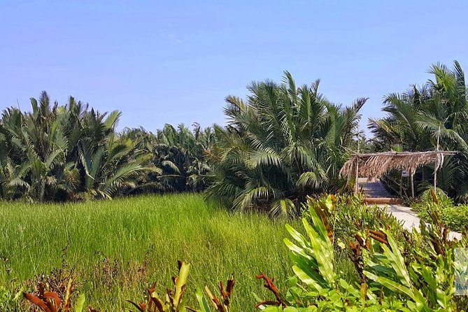 Buffalo Riding, Basket Boat Tour And Cooking Class - Rowing through the coconut palm waterways