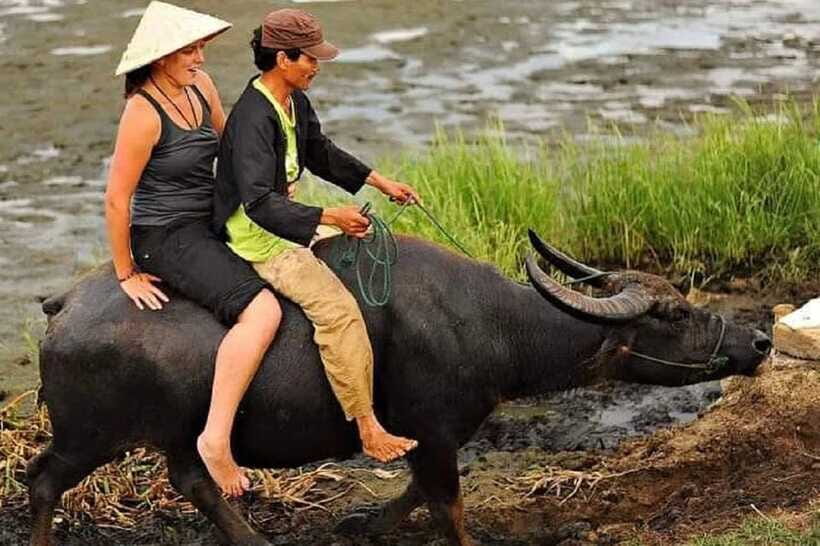 Buffaloe Riding/Ceramic/Cafe/Lantern Class/Basket Boat/Lunch - What the $8 price really means