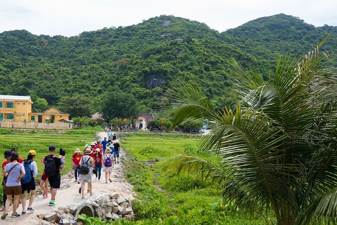 Cham Island Day Tour from Hoi An with Group tour - Hai Tang Pagoda and the island’s cultural side