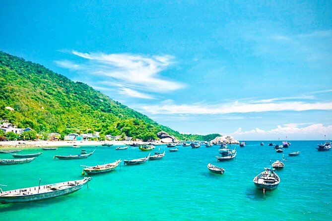 Cham Island Day Tour from Hoi An with Group tour - Ong Ngu whale temple and Au Thuyen