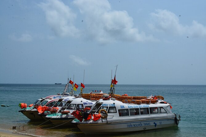 Cham Island Day Tour: Speed Boat, Lunch, Snorkeling & Beach - What the $40 price really covers