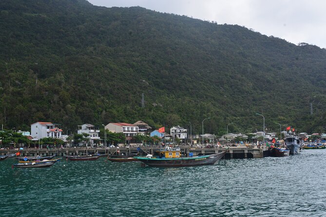 Cham Island Day Tour: Speed Boat, Lunch, Snorkeling & Beach - Who should book this island day