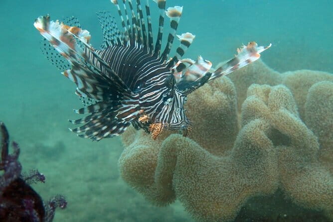 Cham Island Snorkeling Private Tour (Only Snorkeling & Beach) - Key points at a glance