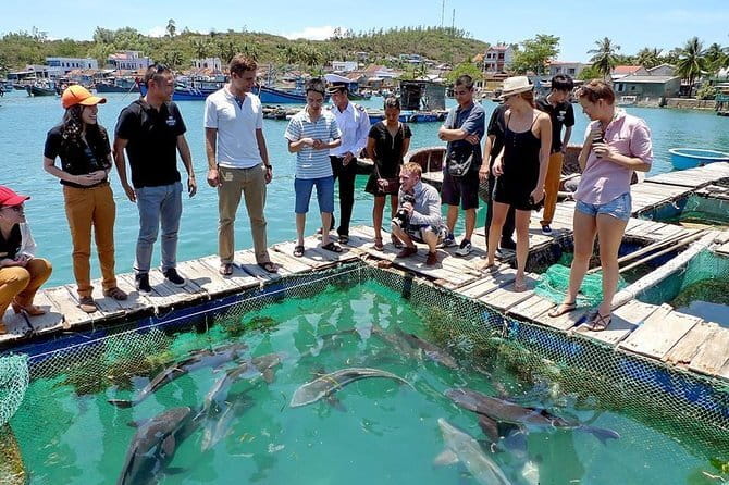 Cham Island Snorkeling Private Tour (Only Snorkeling & Beach) - A sea-first alternative to the usual Cham Island tour