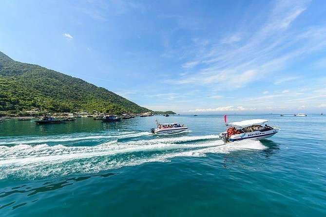 Cham Island: Snorkeling Tour - What the snorkeling is really like