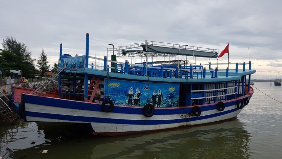 Cham Island: Snorkeling Tour - Who should choose this Cham Island trip?