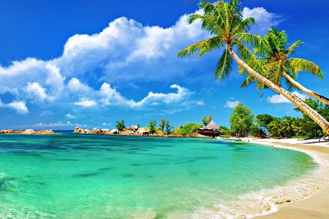 Cham Island Trip by Speed Boat including Snorkeling from Hoi An or Da Nang - What to expect from the 45-minute snorkeling session
