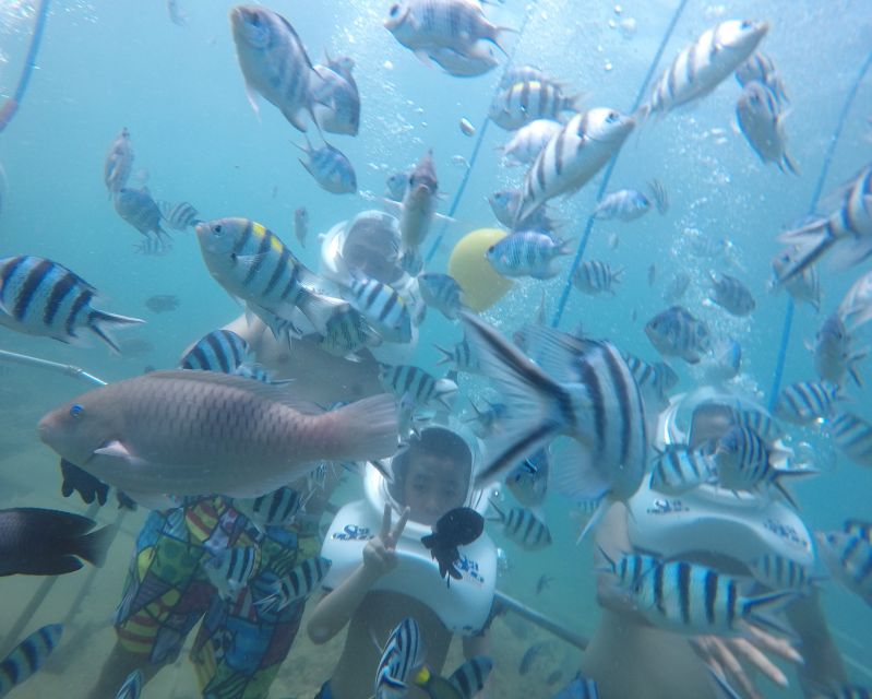 Cham Island: Underwater Walking & Snorkeling Tour - Walking the seabed with a helmet