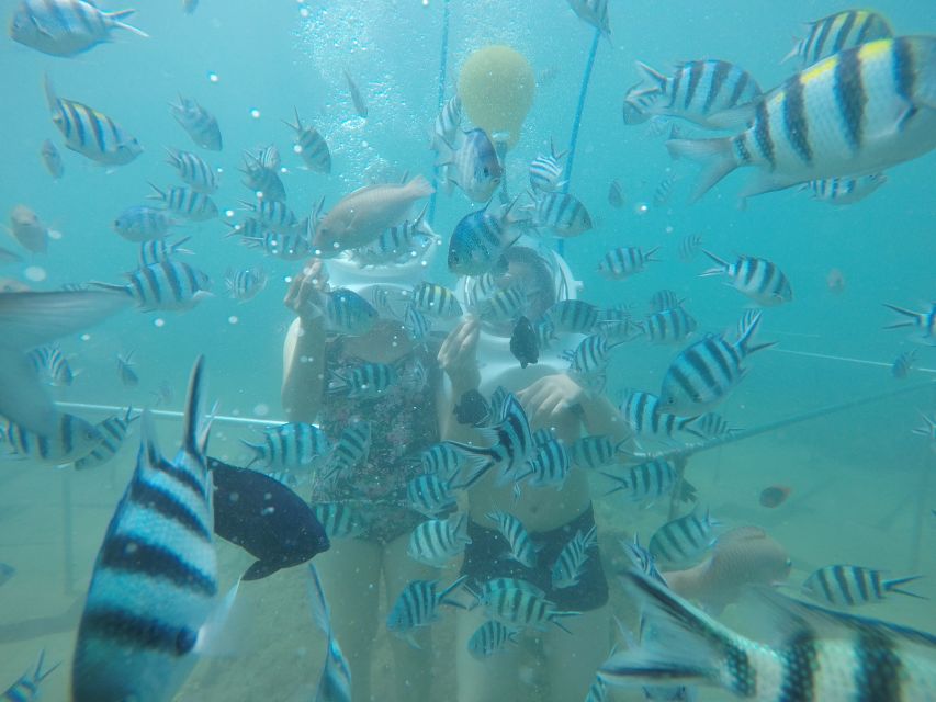 Cham Island: Underwater Walking & Snorkeling Tour - The boat ride from Cua Dai Wharf