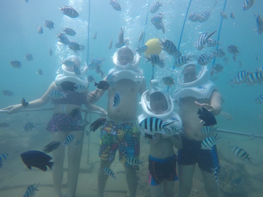 Cham Island: Underwater Walking & Snorkeling Tour - Is the $68 price good value?