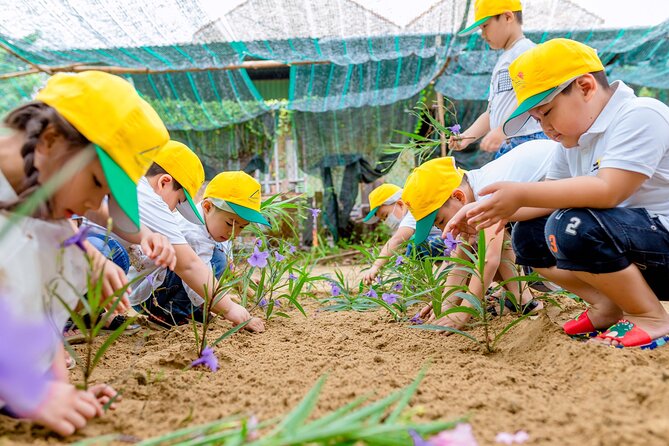 Cooking Class Hoi An - Organic Garden - Farming Tour-Handicrafts - Cooking three or four Vietnamese dishes