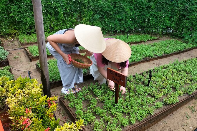 Cooking Class Hoi An - Organic Garden - Farming Tour-Handicrafts - Timing, meeting point, and practical planning