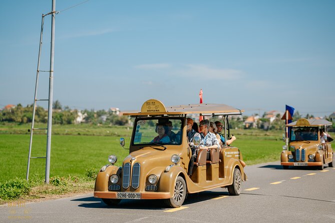 Countryside Adventure Private Tour by Electric Car - Rice fields, buffalo, and Hoi An’s rural rhythm