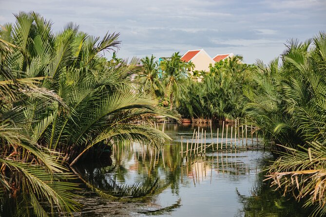 Countryside Adventure Private Tour by Electric Car - Coconut mangroves and the busy edge of the forest