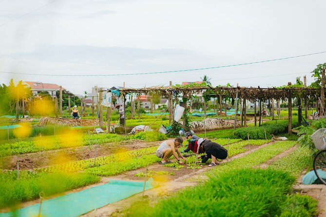 Countryside Adventure Private Tour by Electric Car - Neighborhood roads, rice fields, and temples