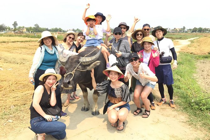 Cycling, Buffalo, Basket Boat ride in Hoi An - From Hoi An to Cam Thanh by bicycle