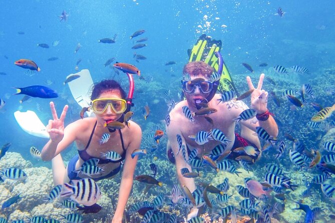 Da Nang/Hoi An: Cham Island Snorkeling, Sunbathing, Nice Beaches - What makes Cham Island worth a day from Hoi An