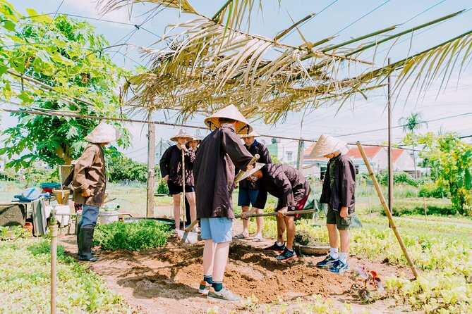 Farming & Cooking Class in Hoi An - Small Group Tour - Working the soil with a local farmer