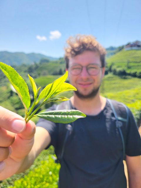 Farming with Farmers at ancient vegetable Village "Tra Que" - Practical choices that affect your day