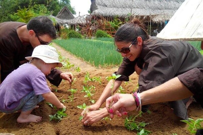Farming with the Local Famers - Working the vegetable beds by hand