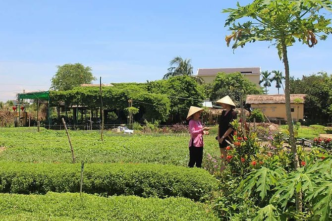 Farming with the Local Famers - A massage and traditional lunch to finish