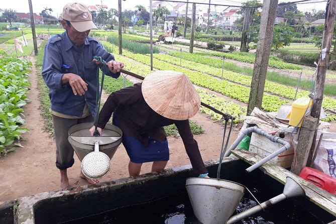 From AUTHENTIC FARMER'S LIFE to ECO RIVER FISHING EXPERIENCE - Could you really ride a buffalo?