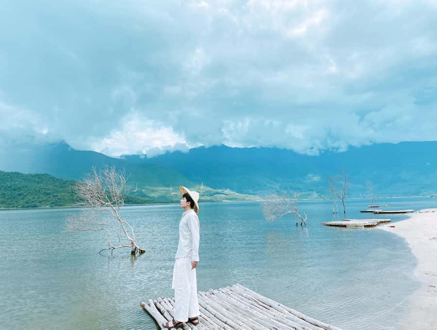 From Hoian & Danang: Hue City Tour with HaiVan Pass - What the guide adds to the day