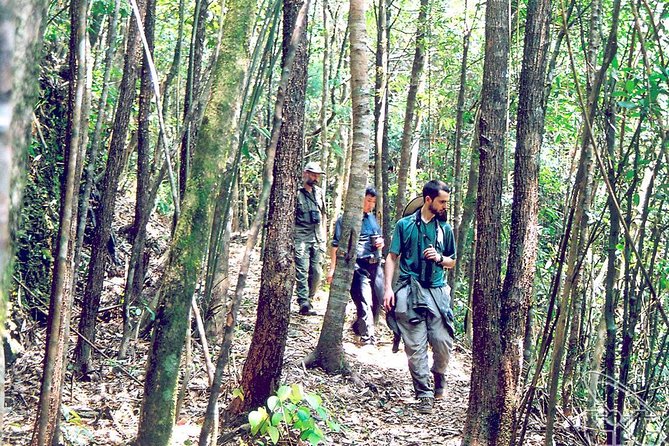 Full day: Hoi An - Bach Ma National Park - Lunch with Vietnamese food in the park
