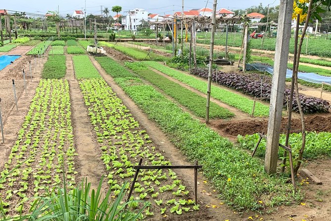 Full Experience Tour: Cooking Class & Basket Boat at Eco-Village - Key details before you book