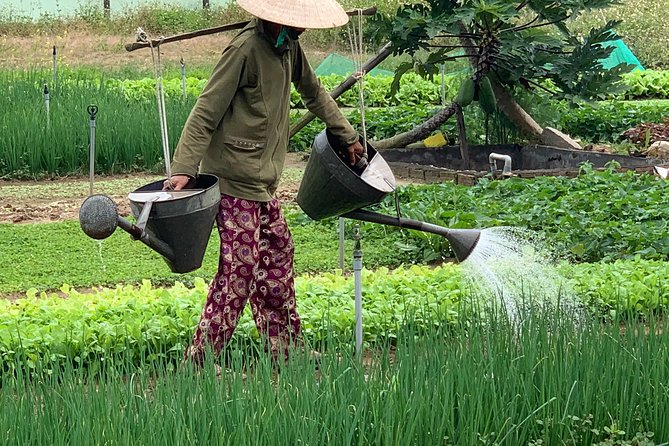 Full Experience Tour: Cooking Class & Basket Boat at Eco-Village - Why this Hoi An countryside day works