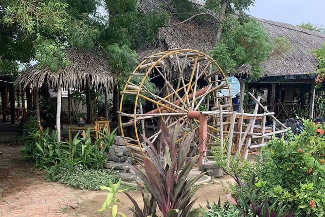 Full Experience Tour: Cooking Class & Basket Boat at Eco-Village - The water buffalo ride