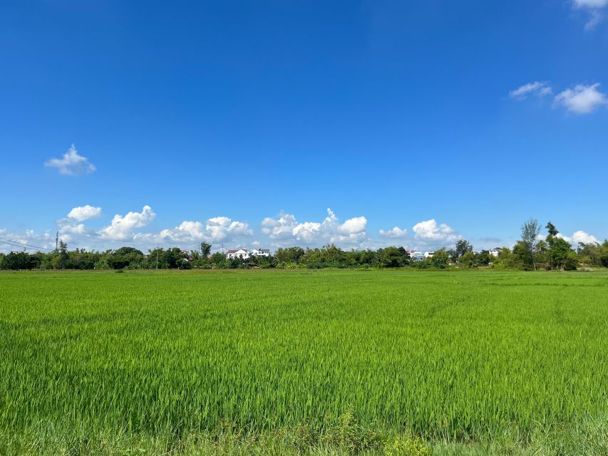 Funny day cycling, Buffalo riding and Basket boat - Key points to know before booking