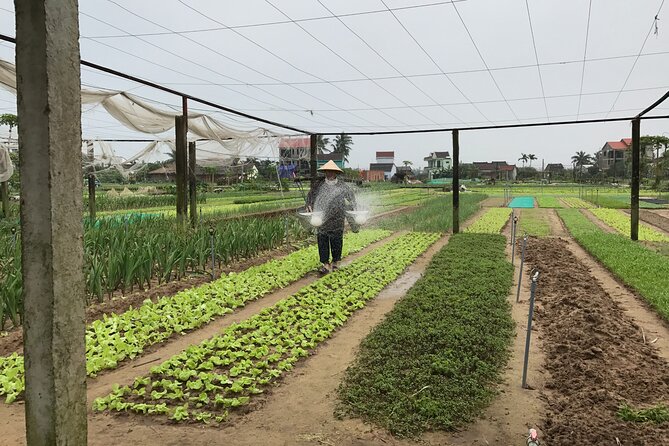 Gardening at Tra Que Vegetable Village and cooking class - Guide service and group size