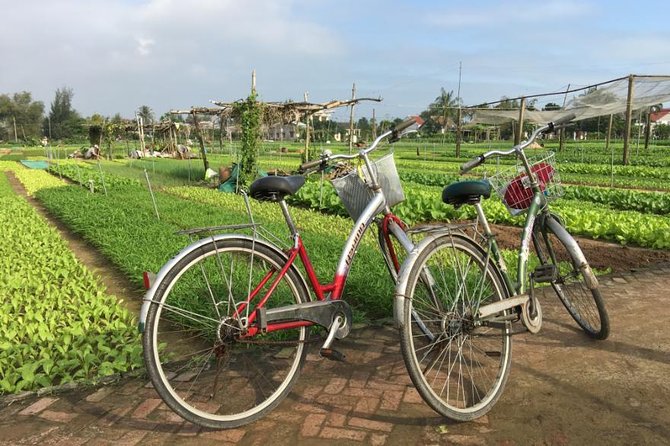 Half Day Cooking Class At Tra Que Vegetable Village Hoi An - Cycling out of Hoi An at 8:00 am or 2:00 pm