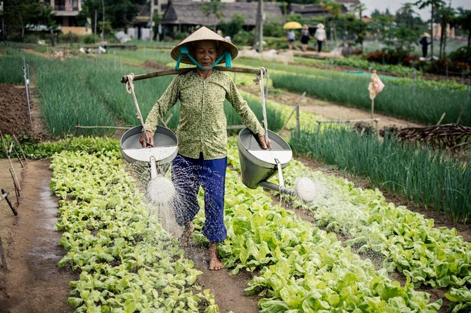 Half Day Cooking Class At Tra Que Vegetable Village Hoi An - Choosing ingredients at Ba Le Market