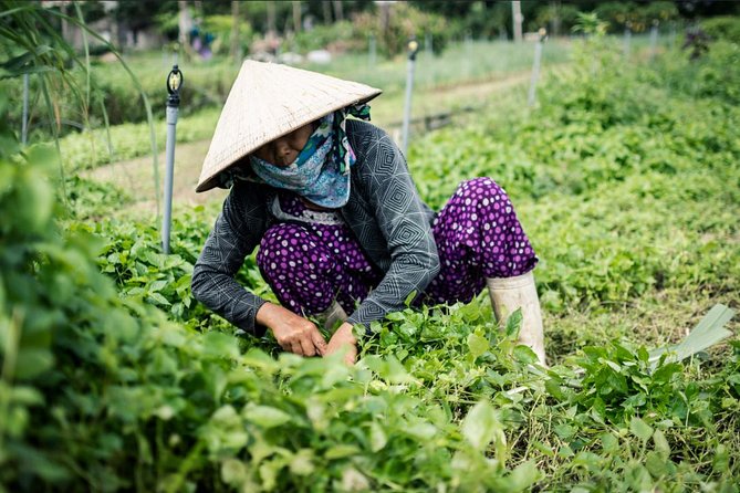 Half Day Cooking Class At Tra Que Vegetable Village Hoi An - Practical details that affect your decision