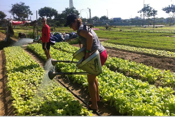 Half Day Cooking Class At Tra Que Vegetable Village Hoi An - Trying traditional farm work without electric machinery
