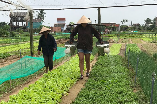 Half-Day Hoi An Countryside and Villages Tour by Bike - Why this Hoi An bike tour works so well