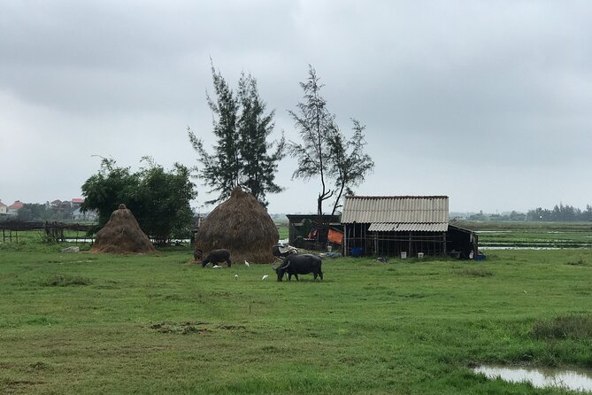 Half-Day Hoi An Countryside and Villages Tour by Bike - What the $49.99 price includes
